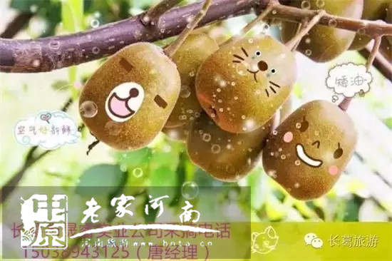 8�¹�������ժ�L���Ǎ�������J����