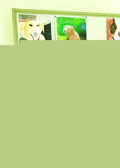 �����֡��O�������ɹ���W����W�ɹ�