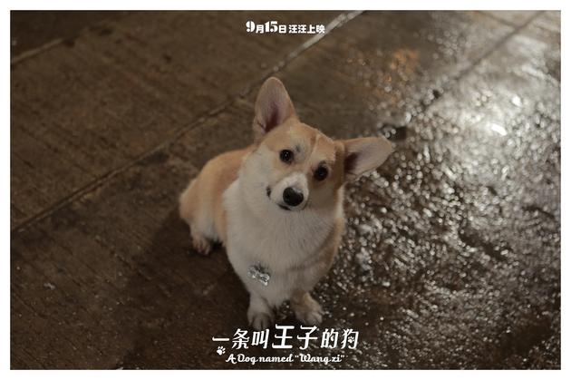 ��һ�l�����ӵĹ����»�����������������