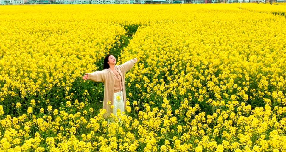 貴州都勻平浪鎮(zhèn):春色正濃 花開爛漫 邀你共赴一場花海盛宴_fororder_微信圖片_20240308121148