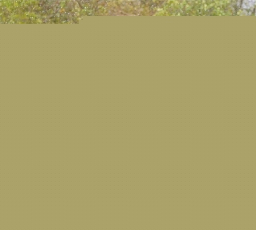�����m��Ъ ��ľ������ &mdash;&mdash;�V��&ldquo;��һ&rdquo;����<a href=http://www.scxjtm.com target=_blank class=infotextkey>����</a>�^��