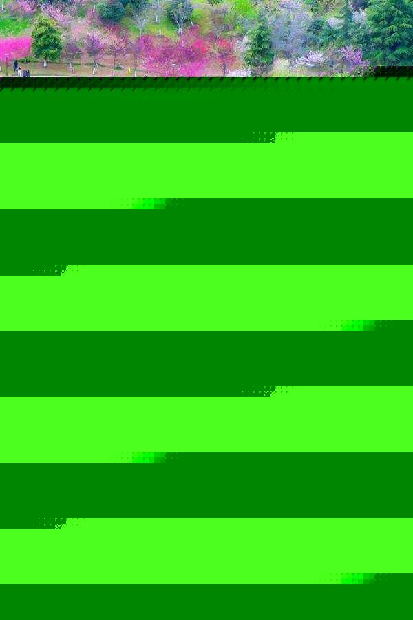 ��h�u(p��ng)��15��&ldquo;���¹��@&rdquo; �S�Q�ǹ��@�����x