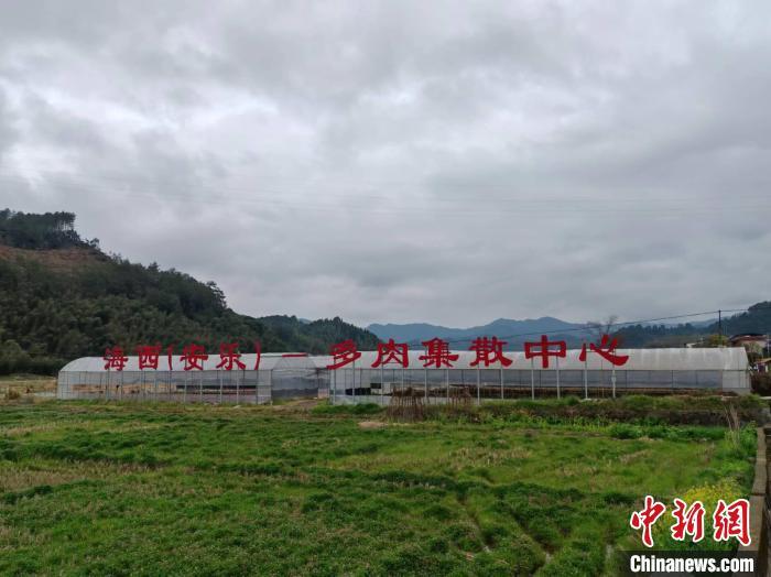�D�鰲�����⼯ɢ���������¾W(w��ng)ӛ���׳����z