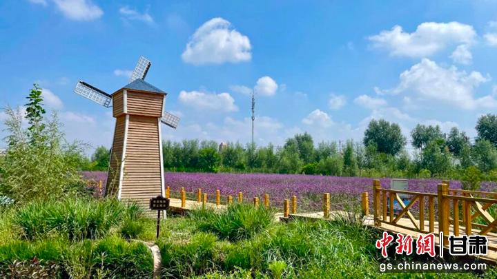 �D�龸�h�|���(zh��n)�����l(xi��ng)�壬��?sh��)��ѳɞ龸�h�h�r(n��ng)�I(y��)���Ļ���<a href=http://www.scxjtm.com target=_blank class=infotextkey>����</a>���ںϰl(f��)չ��һ���sӰ��(�Y�ψD)