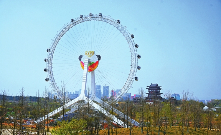 ���D(zhu��n)�d���¼��g(sh��)�x�� �ɶ����@��(hu��)���Ƽ���ʮ��