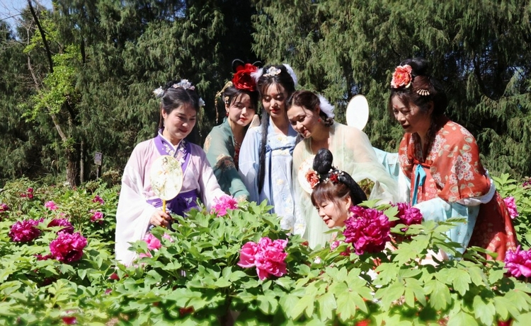 ���D(zhu��n)�d���軨�d�r(n��ng) ��������ĵ�����h(yu��n)�N�Ϻ�����