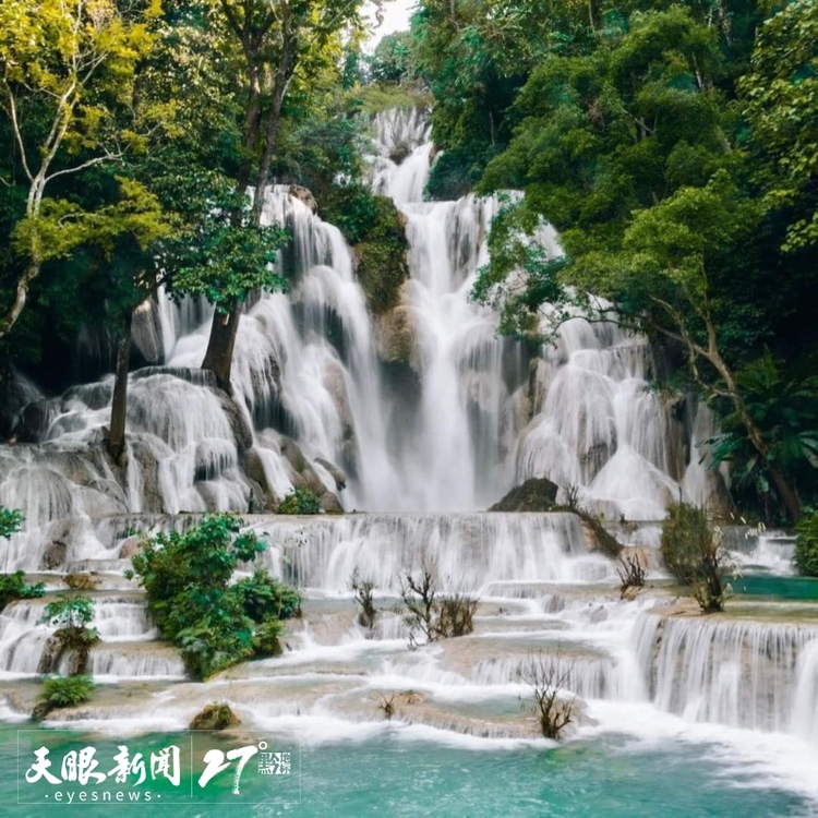 �F���ׂ�(g��)���(gu��)<a href=http://www.scxjtm.com target=_blank class=infotextkey>����</a>������&ldquo;����F��̖(h��o)&rdquo;<a href=http://www.gzculture.net target=_blank class=infotextkey>�F�(y��ng)</a>&mdash;�ϓ루�f(w��n)��<a href=http://www.scxjtm.com target=_blank class=infotextkey>����</a>���Ќ���5��8���_(k��i)��