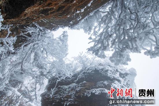 2��26�գ����F��ʡ�������οh��ɳ�Ӈ��Ҽ�(j��)��Ȼ���o(h��)�^(q��)��(n��i)�Ĕz��ѩ����