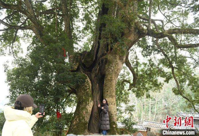 ̽�L���Ї�(gu��)ǧ���z骵�һ�塱
