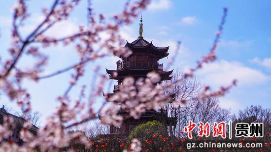 �F�ݴ󷽣����(zh��n)�����[֦�^