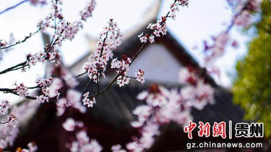 3��5�չ��(zh��n)�����L(f��ng)���ѻ��_��  ���`�z
