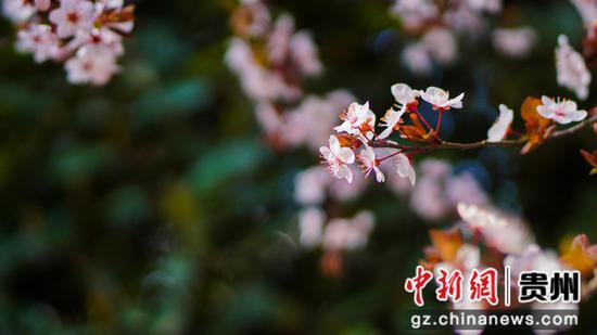 3��5�չ��(zh��n)�����L(f��ng)���ѻ��_����  ���`�z