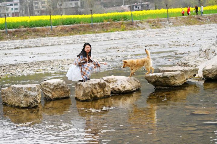 �����箋�Ĵ�ɫ���������˱����ο�ǰ�������ա�ꐱ����z