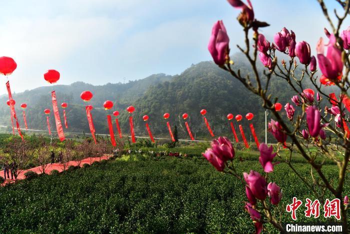 3��20�������������Ͱײ��_(k��i)�蹝(ji��)�ڸ���ʡ���Ϳh�������t�r�����B(t��i)��@�e�С� ���¾W(w��ng)ӛ�� ���� �z