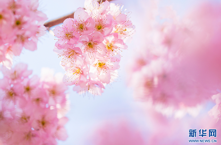 �Ͼ���ů�L(f��ng)���洺��� ̤���p������(d��ng)�r(sh��)
