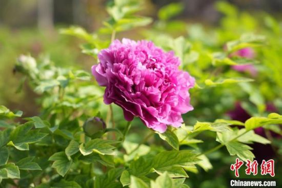 �D��ʢ�_�����ĵ�����������h �z