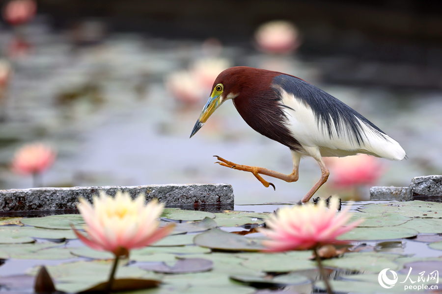 �B�T��˯ɏ�����_ ����һ�ش�