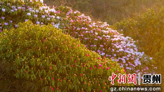 �F�ݵ��棺��ɽ���N����(j��ng)���_(k��i)��